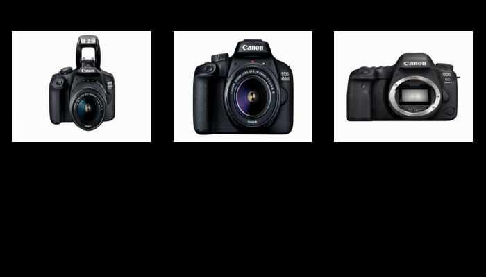 40 La migliore fotocamera canon reflex del 2022 – Non acquistare una fotocamera canon reflex finché non leggi QUESTO!