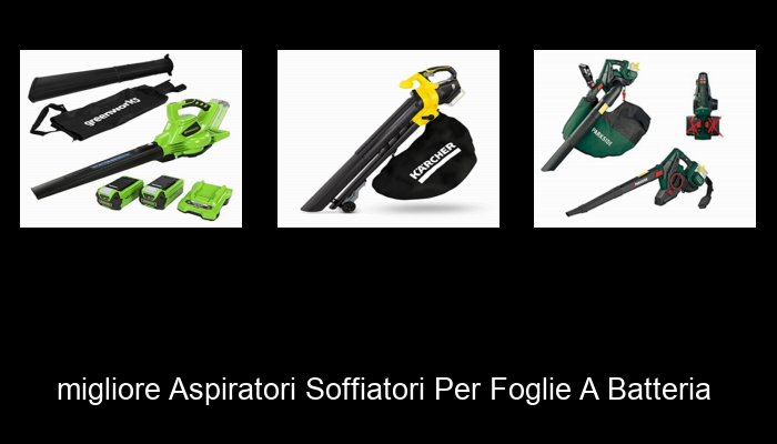 Le Migliori 10 aspiratori soffiatori per foglie a batteria del 2023 – Non Osare Acquistare Prima di Leggere QUESTO! Le Migliori 10 aspiratori soffiatori per foglie a batteria del 2023 – Non Osare Acquistare Prima di Leggere QUESTO!