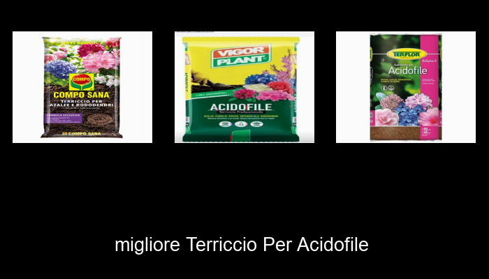 Le Migliori 10 terriccio per acidofile del 2023 – Non Osare Acquistare Prima di Leggere QUESTO! Le Migliori 10 terriccio per acidofile del 2023 – Non Osare Acquistare Prima di Leggere QUESTO!