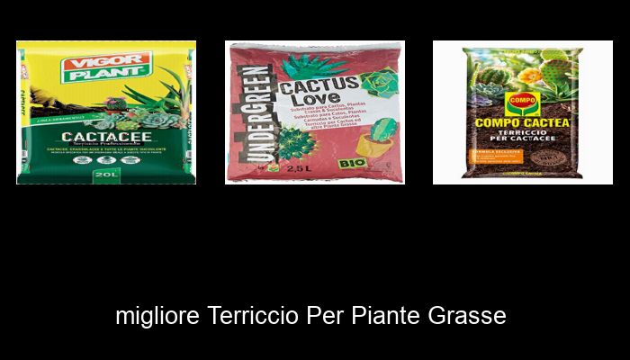 Le Migliori 10 terriccio per piante grasse del 2023 – Non Osare Acquistare Prima di Leggere QUESTO! Le Migliori 10 terriccio per piante grasse del 2023 – Non Osare Acquistare Prima di Leggere QUESTO!