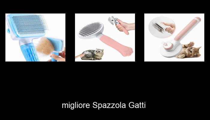 Le Migliori 10 spazzola gatti del 2024 – La Nostra Raccomandazione Le Migliori 10 spazzola gatti del 2024 – La Nostra Raccomandazione