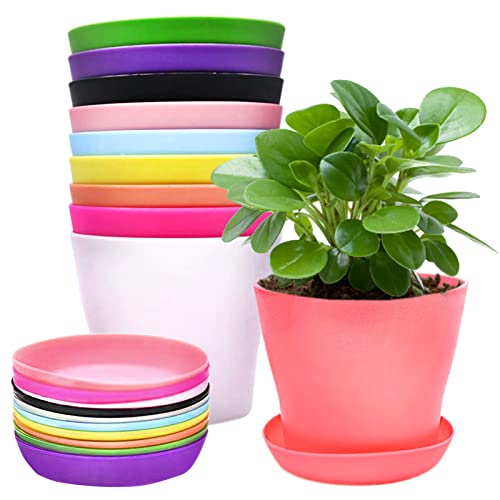 Cisolen 10 Pezzi mini vasi da fiori in plastica colorata con vassoi antigoccia per piantine piante in miniatura per giardino ufficio balcone decorazione in 10 colori